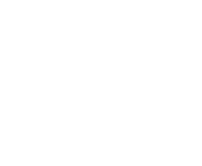 Evolution games at All Reels Casino